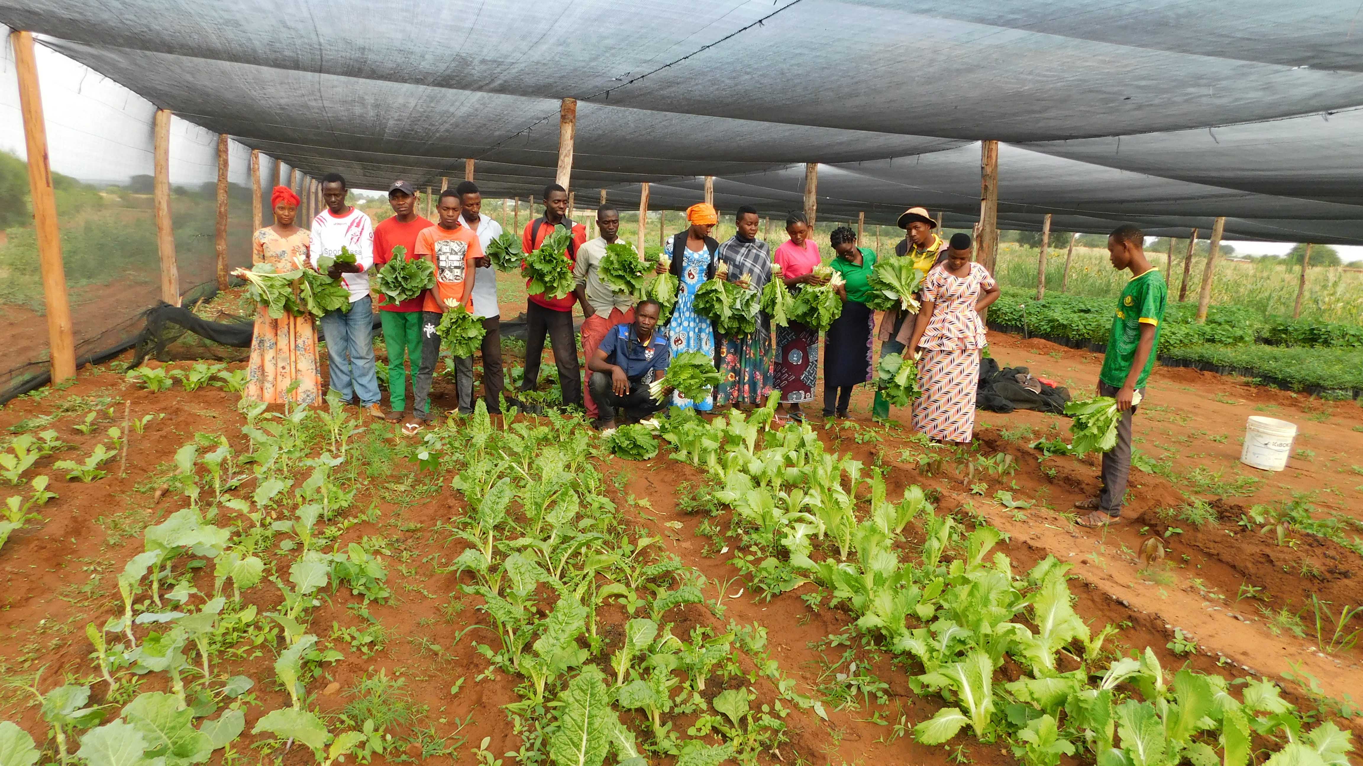 Sustainable farming