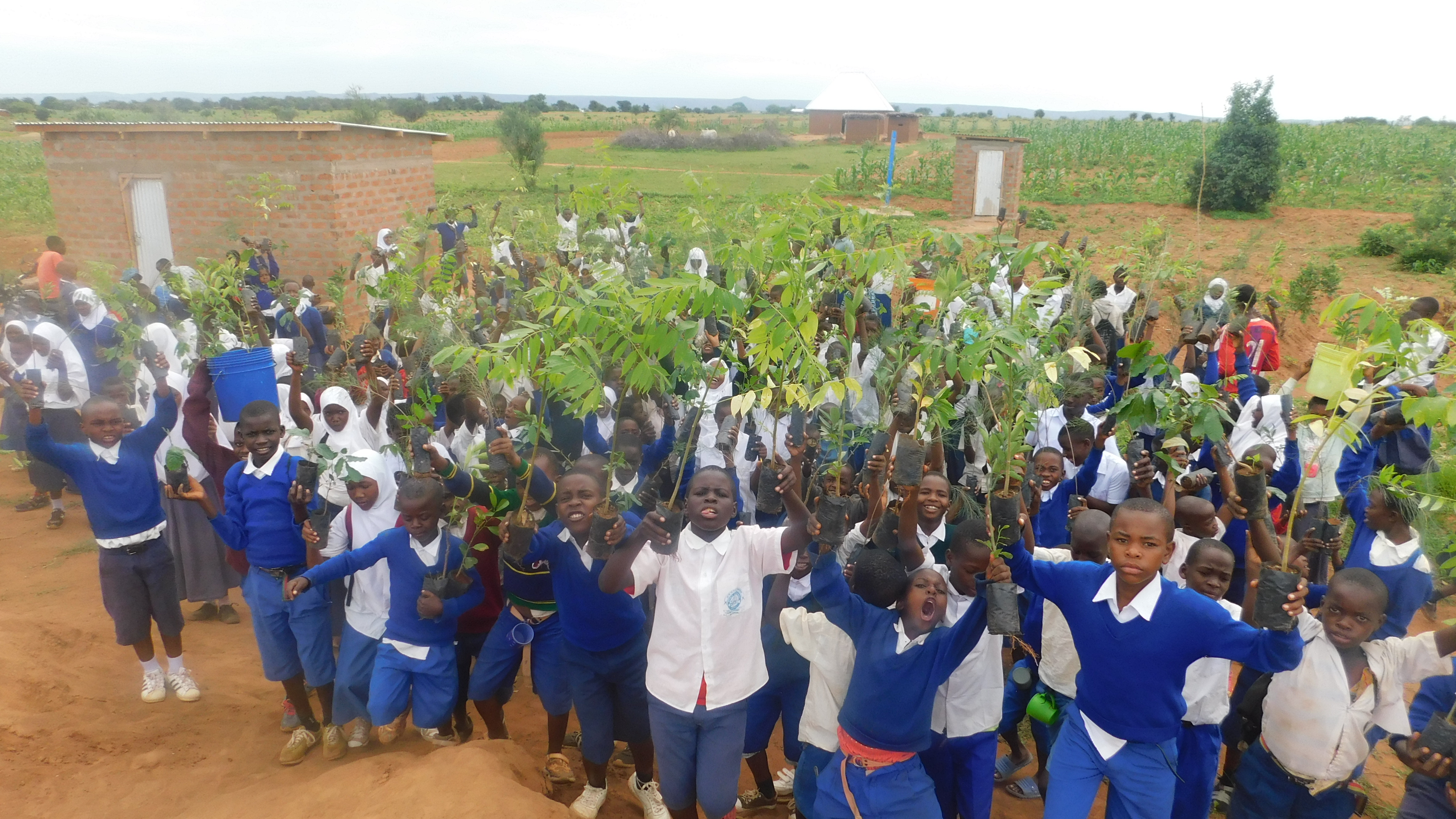 Sustainable farming